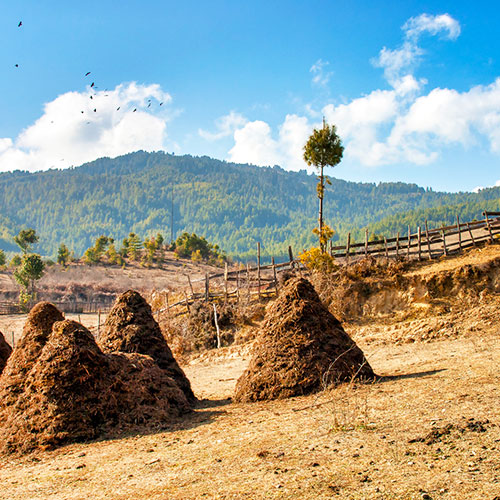 Explore Bumthang Valley