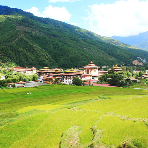 Immerse Yourself in Thimphu