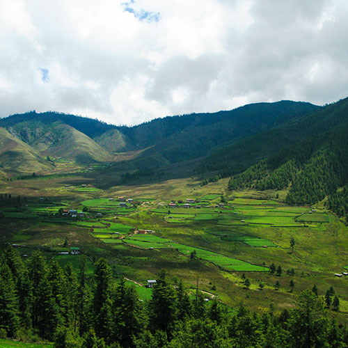 Phobjikha Valley