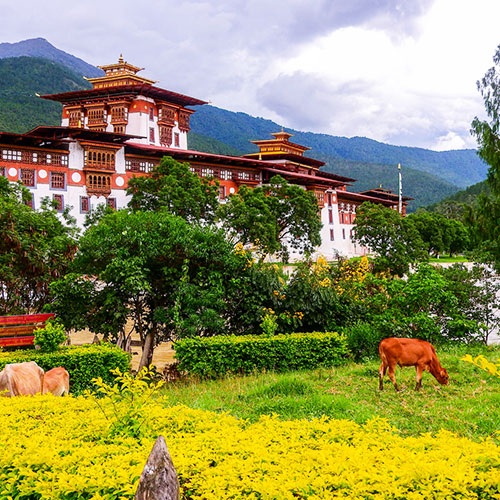 Unveil Punakha Dzong