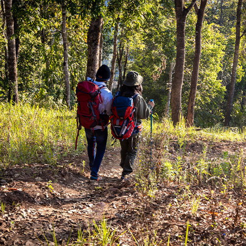 Trekking & Nature Walks